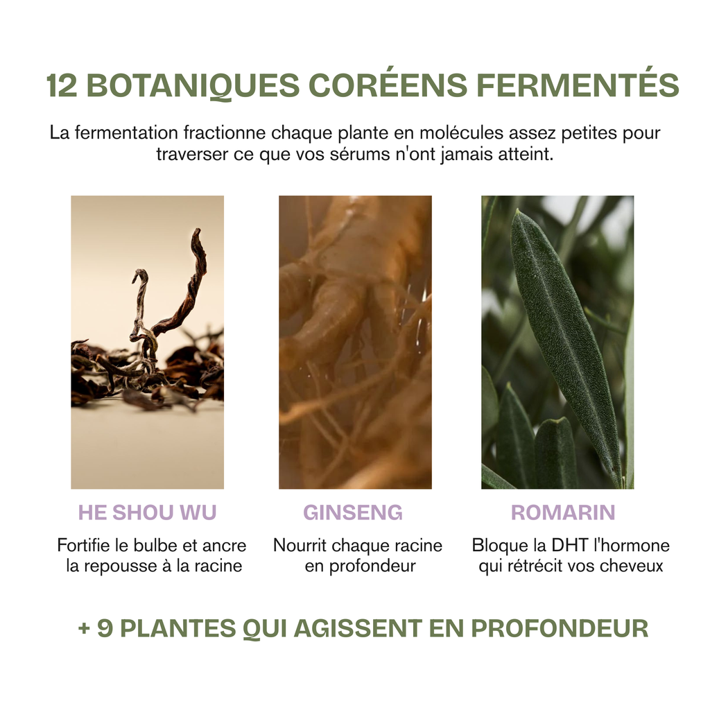 Shampoing Rituel Coréen Anti-Chute